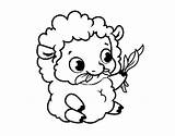 Sheep Baby Coloring Pages Coloringcrew Dibujo Count Goats sketch template