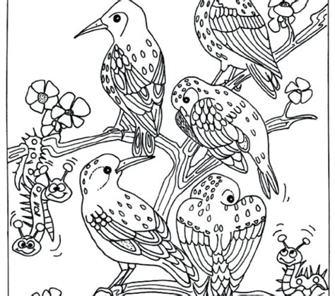 birds  prey coloring pages mihrimahasya coloring kids