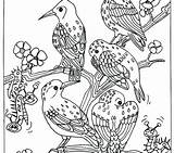 Coloring Bird Pages Birds Realistic Colouring Prey Tree Sitting Flowers Group Owl Colorings Getcolorings Getdrawings Parrot Color Hellokids sketch template