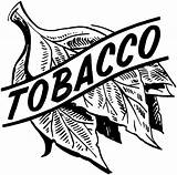Tobacco Tabacco Illustration Messe Insegne Clipground Pipe sketch template