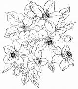 Dogwood Embroidery sketch template