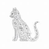Coloring Pages Cat Adults Adult Cats Print Printable Kitten Blank Pdf Book Color Template походження піна Etsy sketch template