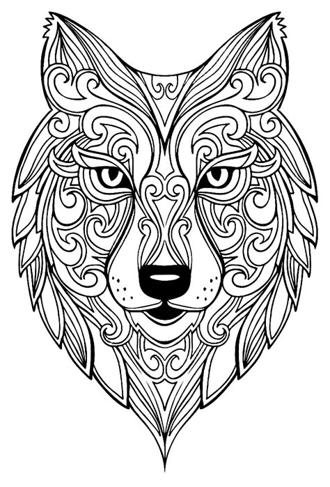 superb wolfs head wolves adult coloring pages