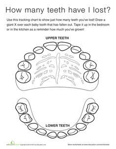 images  worksheets  grade dental health healthy tooth