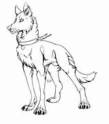 Lineart Clans Wikia Wolfdog sketch template