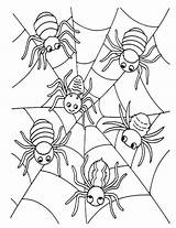 Halloween Kleurplaat Herfst Spinnenweb Kleurplaten Enfant Coloriage Halloweenknutsels Haloween Spinnen Netart sketch template