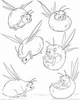 Hedgehog Hedgie Beth Sleven sketch template
