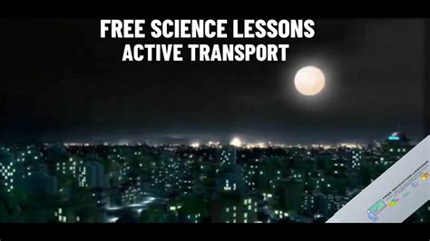 clip  active transport science youtube