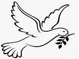 Dove Peace Branch Olive Template Clipart Coloring Drawing Outline Christian Symbols Pages Cliparts Bird Popular Library sketch template