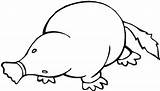 Mole Coloring Pages Kingdom Animal Getdrawings Getcolorings sketch template