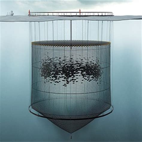 offshore aquaculture weihai huaxing nets