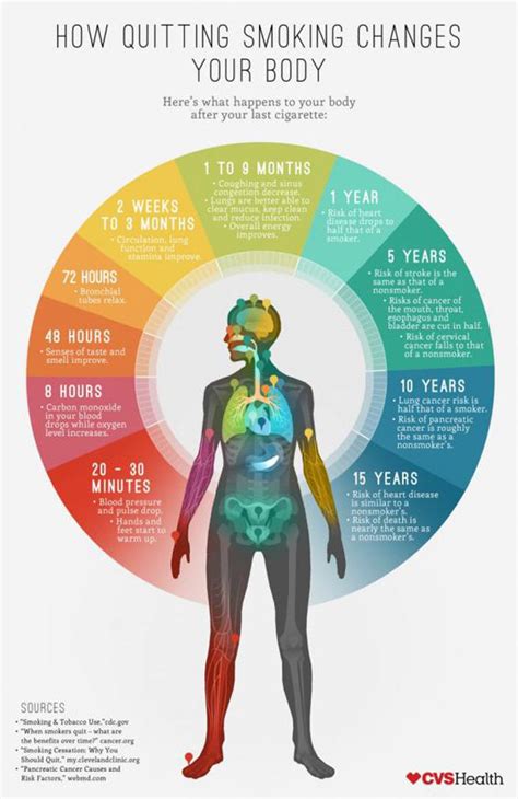 Effects Of Smoking On Body What Happens When You Quit Cigarettes