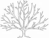 Arbre Feuille Imprimer Baum Hiver Kahler Feuillage Malvorlage Supercoloring Wurzeln Senza Boom Kale Kleurplaten Foglie Leaves Ausmalbilder Vorlage Inspirierend Genial sketch template