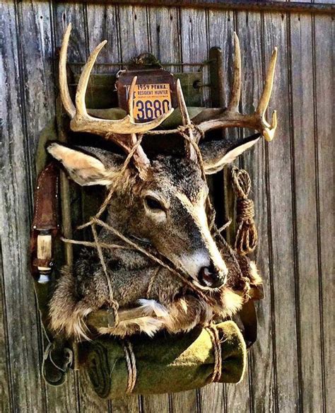 images  whitetail mounts  pinterest horns deer hunting  pedestal