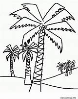 Palmier Palmiers Plusieurs Imprimé sketch template