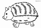 Waldtiere Igel Lachender Hedgehog Ausmalbild Malvorlage Colomio sketch template