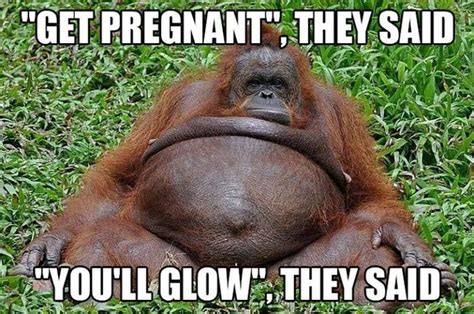 71 Funny Pregnancy Memes With Laughs For Moms And Dads Pregnancy Must