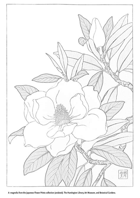 color  collections  museum coloring pages fine art mom