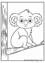 Koalas Koala Printable Iheartcraftythings Curiously Adorable sketch template