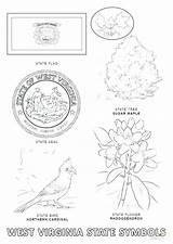 Symbols Coloring Virginia American Pages West State Silhouette Philippine Flag Mary Virgin Getcolorings Getdrawings Terrier Highland Color Outline Colorings Printable sketch template