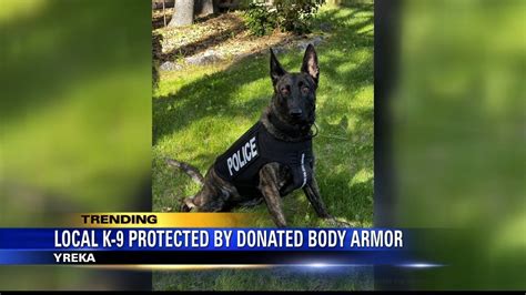 Yreka K 9 Protected By Donated Body Armor Youtube