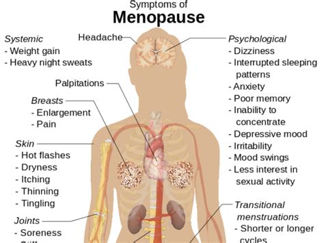 world menopause day the medical devices designed to