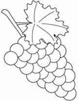 Grapes Coloring Pages Printable Grape Color Kids Print Supercoloring Drawing Template Search Choose Board Categories sketch template