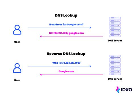 difference    reverse lookup dns query uploadwho