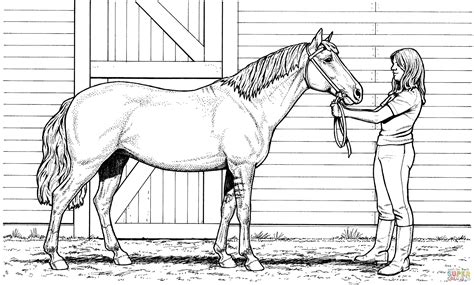 inspirational beautiful horse coloring pages horse coloring pages