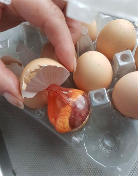 Mother Claims To Have Found A Chicken Foetus Inside Tesco Egg Metro News
