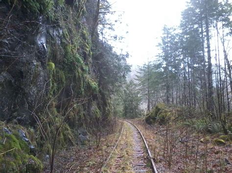 abandoned railroad abandoned plants