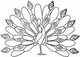 Songbirds Peafowl sketch template