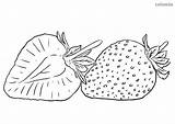 Obst Erdbeere Malvorlage Ausmalen Querschnitt Ausmalbilder Ausmalbild Früchte Malvorlagen Ausdrucken Sheets Fruchte Regenbogen Strawberries sketch template