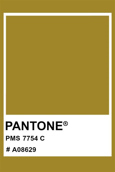 pantone   pantone color pms hex yellow pantone pantone color chip
