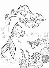 Sebastian Coloring Pages Mermaid Little Getcolorings sketch template