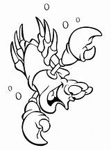Hummer Kreeft Kreeften Ausmalbilder Lobster Malvorlage Stimmen sketch template