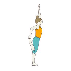 backbend yoga sequence  beginners tummeecom