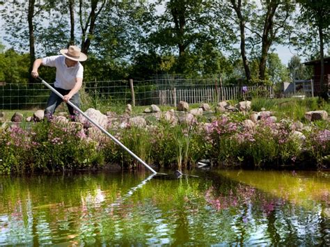 garden pond cleaning tips advice  outdoor pond cleaning