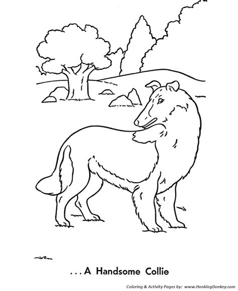 pet dog coloring pages  beautiful pet collie coloring pages