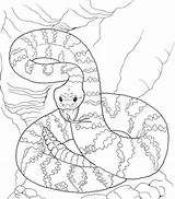 Coloring Rattlesnake Cascabel Ausmalbild Colorear Klapperschlange Malvorlagen Snakes Schlangen Gefaehrliche Serpiente Colorare Supercoloring Disegni Kostenlos Schlange Serpientes Coloringhome Drucken Coloringme sketch template