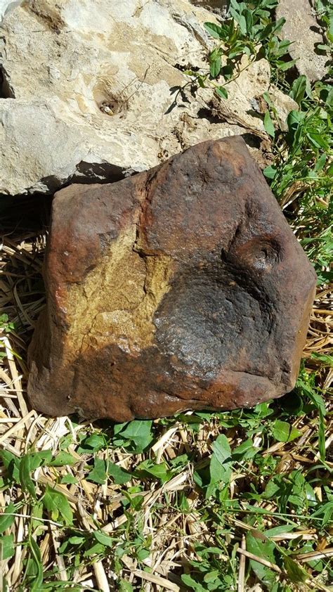 sw missouri prehistoric artifacts stone age