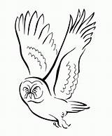 Coloring Pages Owl Flying Bird Popular Coloringhome sketch template