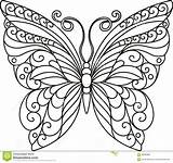 Schmetterling Vorlage Mariposa Getdrawings Quilling Mandala Malvorlage sketch template