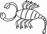 Scorpion Coloring Pages Printable Scorpions sketch template