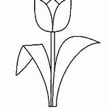 Tulip Tulips Coloring Drawing Clipart Line Printable Simple Pages Single Template Clip Lineart Large Flowers Colouring Standard Spring Color Kids sketch template