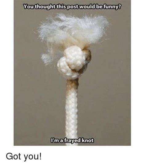 thought  post   funny im  frayed knot   funny meme  meme