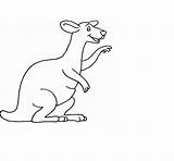 Kangaroo Coloring Pages Printable Kids sketch template