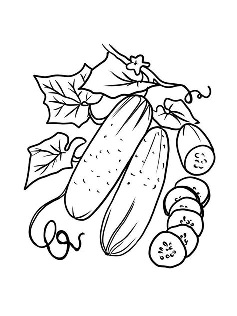cucumber coloring page print cucumber  included  annual short