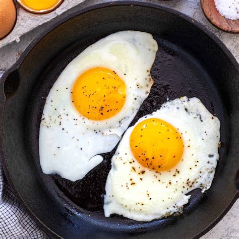 tutorial    cook  egg egg