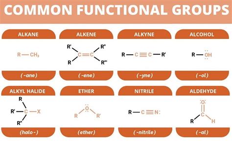 functional groups  organic chemistry chemtalk